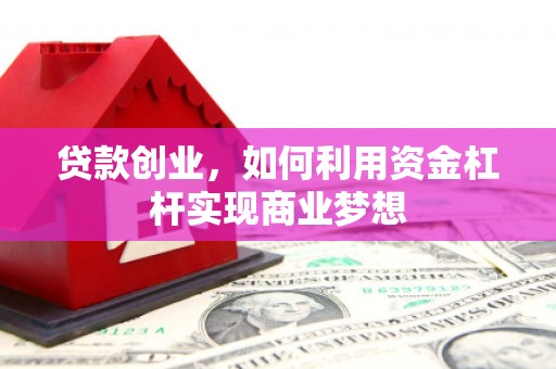 新泰贷款创业，如何利用资金杠杆实现商业梦想