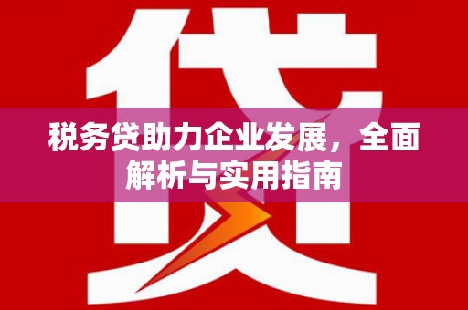 中寮税务贷助力企业发展，全面解析与实用指南