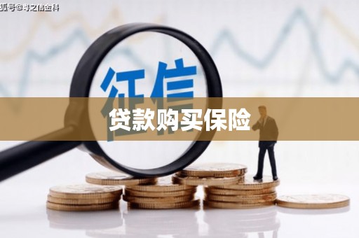 木兰贷款购买保险
