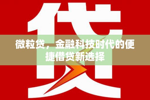 金门微粒贷，金融科技时代的便捷借贷新选择