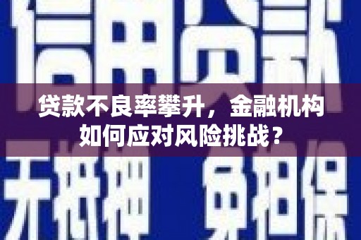 南充贷款不良率攀升，金融机构如何应对风险挑战？