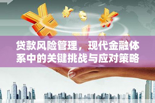 罗城贷款风险管理，现代金融体系中的关键挑战与应对策略