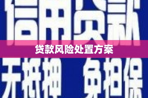 三穗贷款风险处置方案