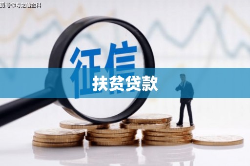 桃园扶贫贷款