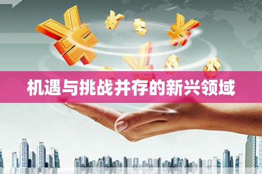 漯河机遇与挑战并存的新兴领域
