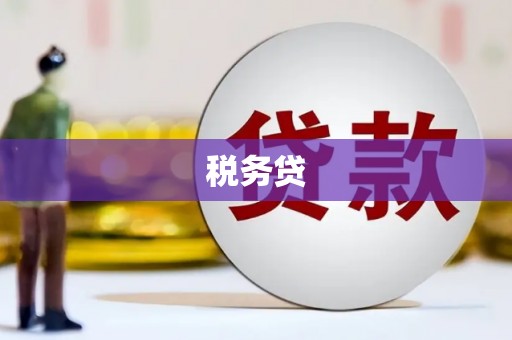 岑巩税务贷