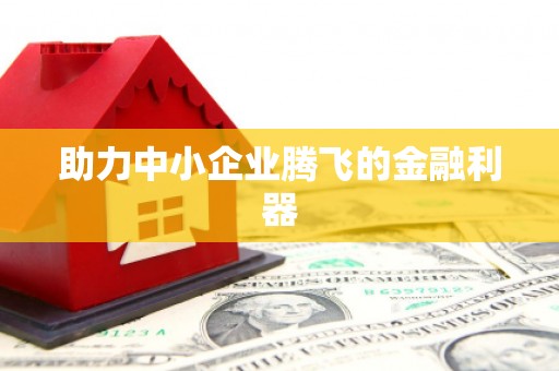 东至助力中小企业腾飞的金融利器